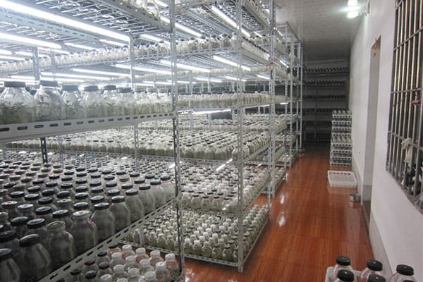奶茶视频APP官网下载室
