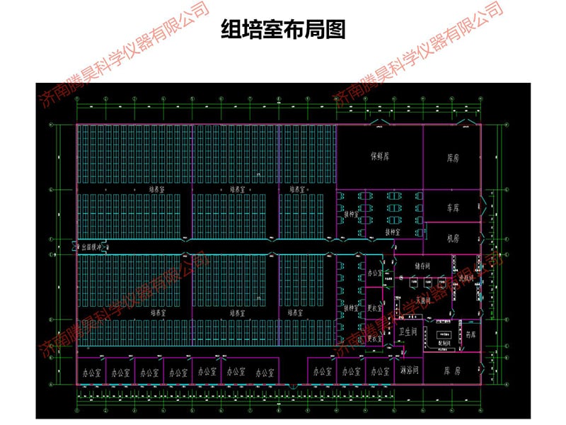 奶茶视频APP官网下载室