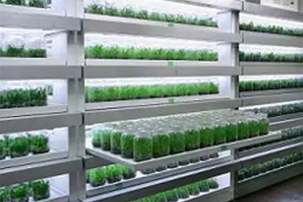 奶茶视频APP官网下载室