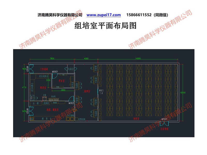 奶茶视频APP官网下载室