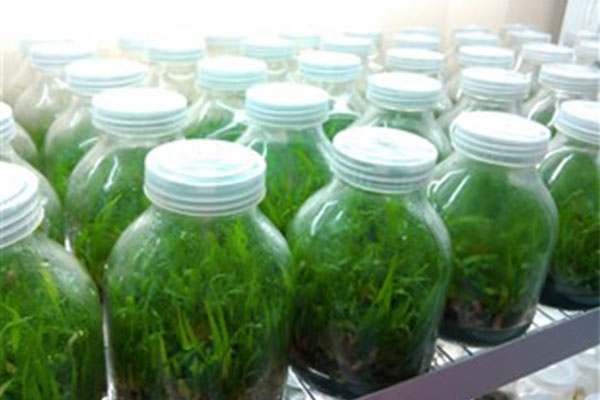 奶茶视频APP官网下载儀器