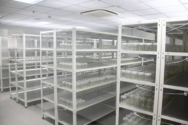 奶茶视频APP官网下载架