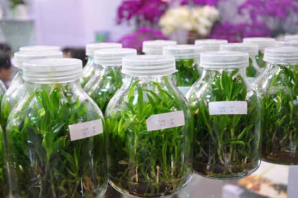奶茶视频APP官网下载瓶廠家