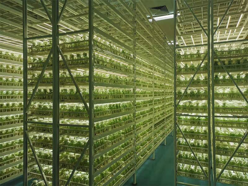 奶茶视频APP官网下载  奶茶视频APP官网下载架