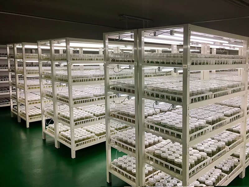 奶茶视频APP官网下载  奶茶视频APP官网下载架