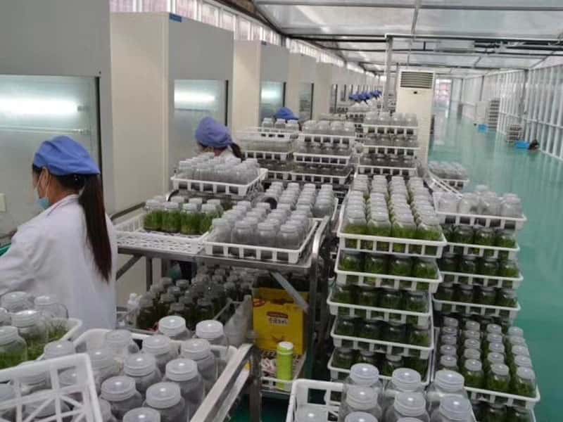 奶茶视频APP官网下载設備