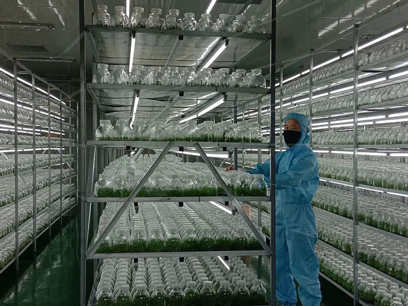 奶茶视频APP官网下载  奶茶视频APP官网下载架