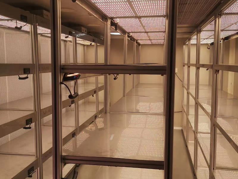 奶茶视频APP官网下载  奶茶视频APP官网下载架