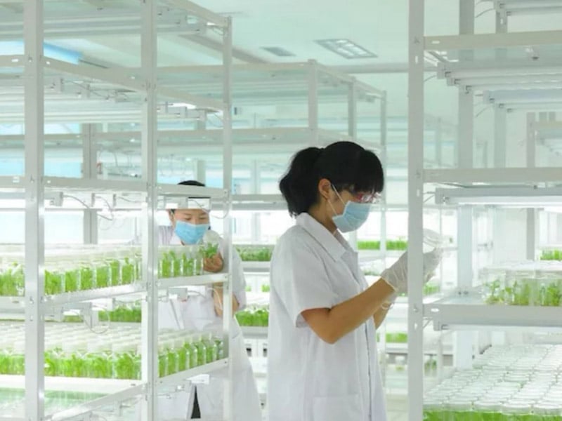 奶茶视频APP官网下载  奶茶视频APP官网下载架