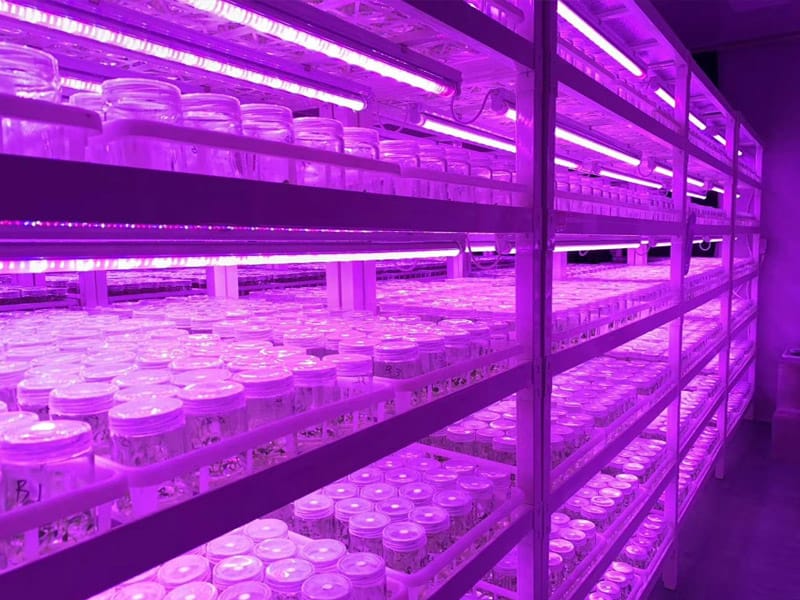 奶茶视频APP官网下载  插扣式奶茶视频APP官网下载架