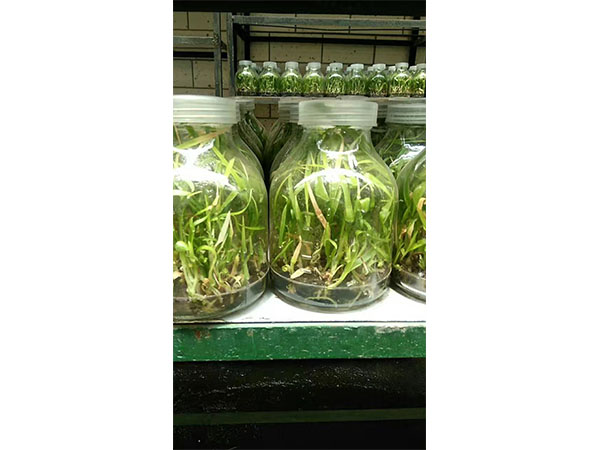 奶茶视频APP官网下载實驗室
