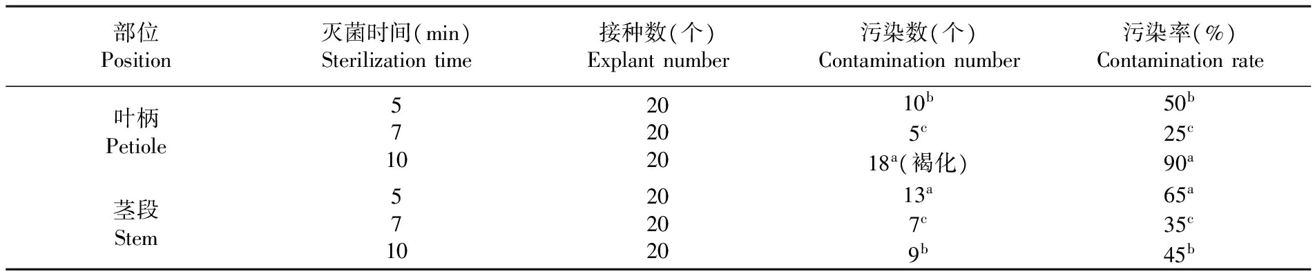 植物奶茶视频APP官网下载設備
