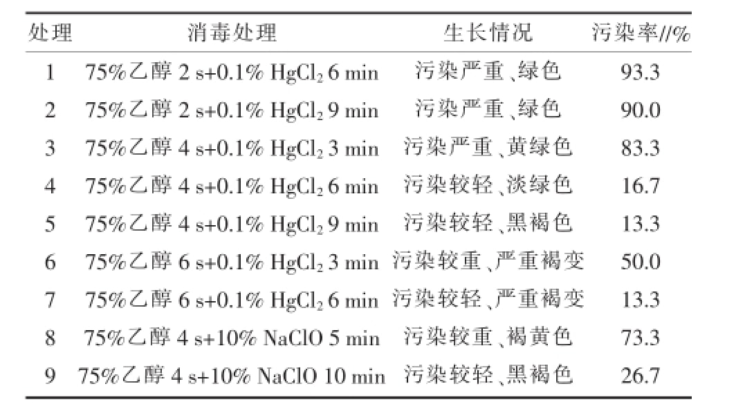 奶茶视频APP官网下载室