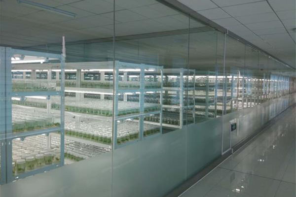奶茶视频APP官网下载室