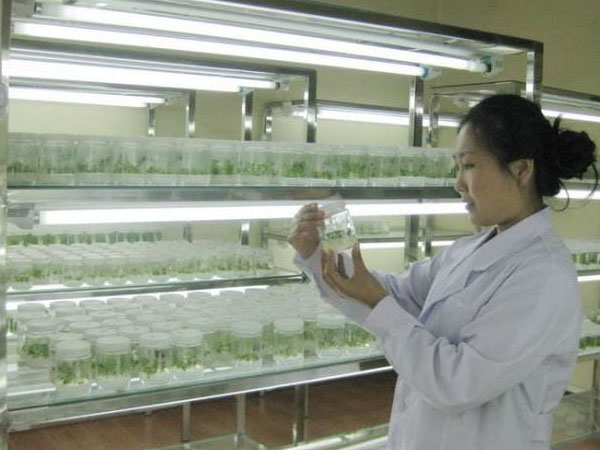 奶茶视频APP官网下载