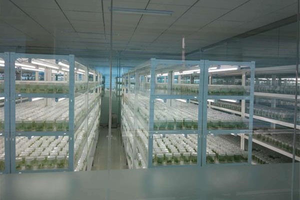 奶茶视频APP官网下载室