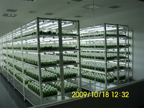 奶茶视频APP官网下载室設計