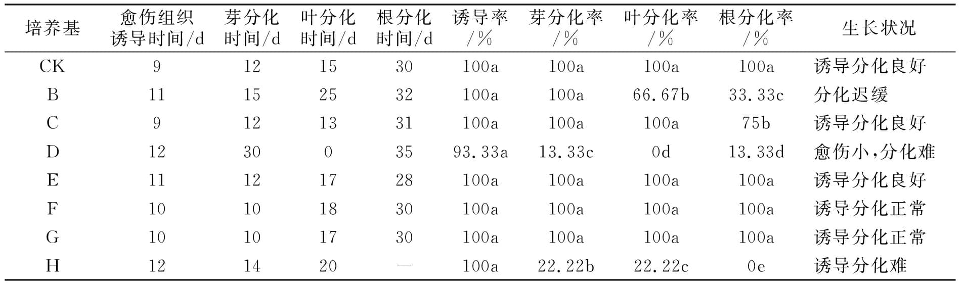 奶茶视频APP官网下载設計圖