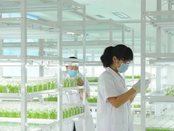奶茶视频APP官网下载室設計