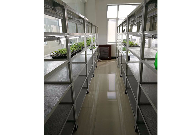 奶茶视频APP官网下载室設計