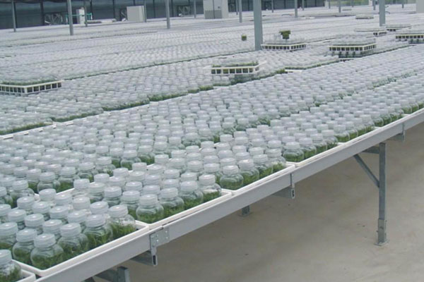 奶茶视频APP官网下载室