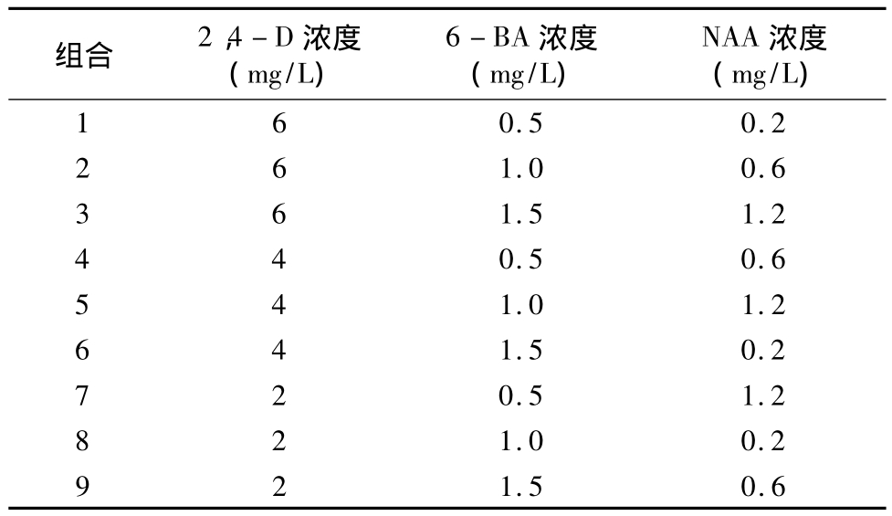 奶茶视频APP官网下载實驗室