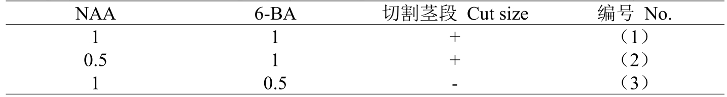 奶茶视频APP官网下载室設計