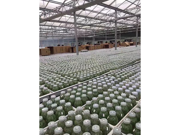 奶茶视频APP官网下载設備