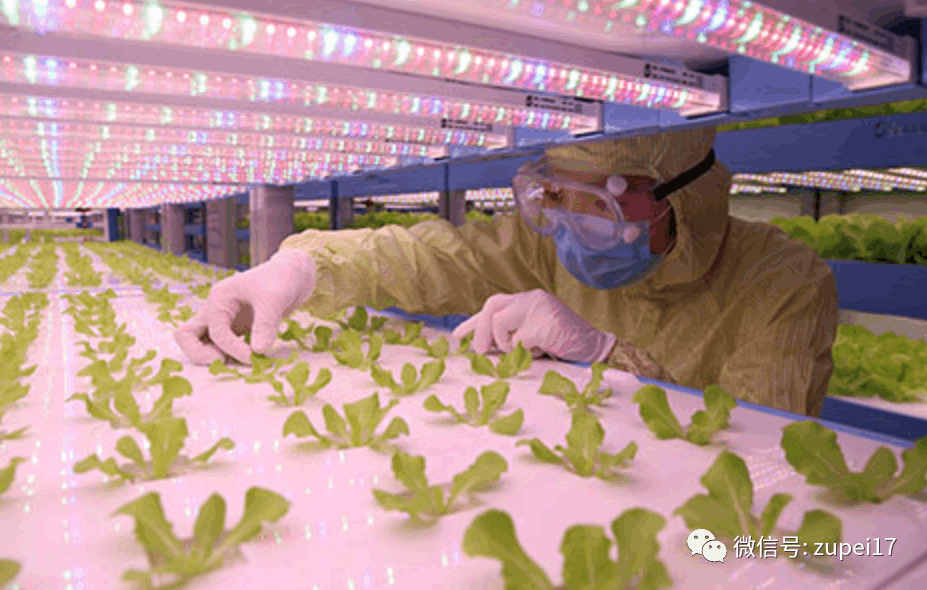 奶茶视频APP官网下载