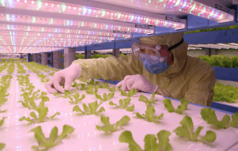 奶茶视频APP官网下载