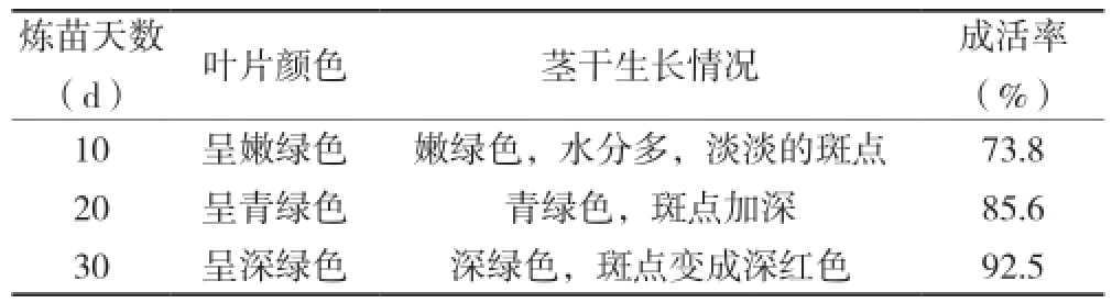奶茶视频APP官网下载室設計