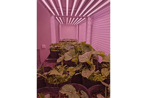 奶茶视频APP官网下载