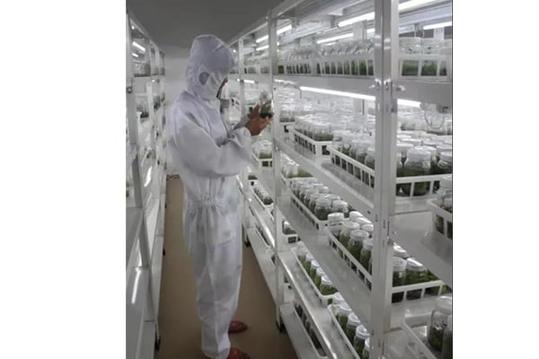 奶茶视频APP官网下载