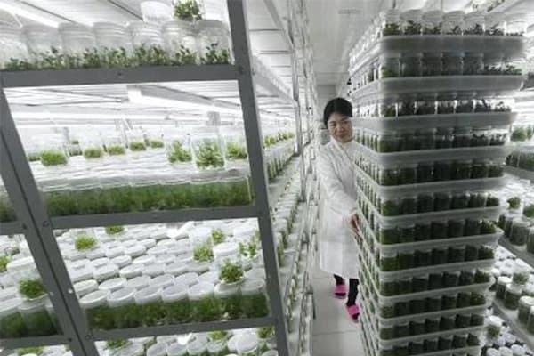 植物奶茶视频APP官网下载