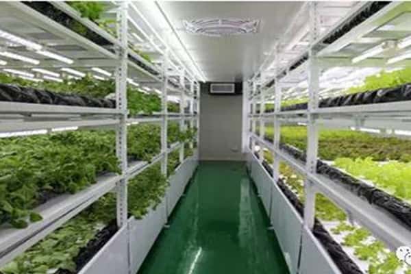 奶茶视频APP官网下载