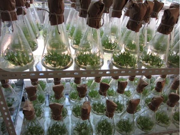 奶茶视频APP官网下载