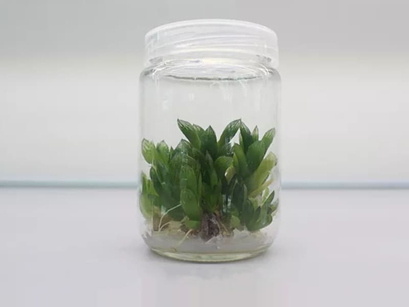 奶茶视频APP官网下载  奶茶视频APP官网下载瓶
