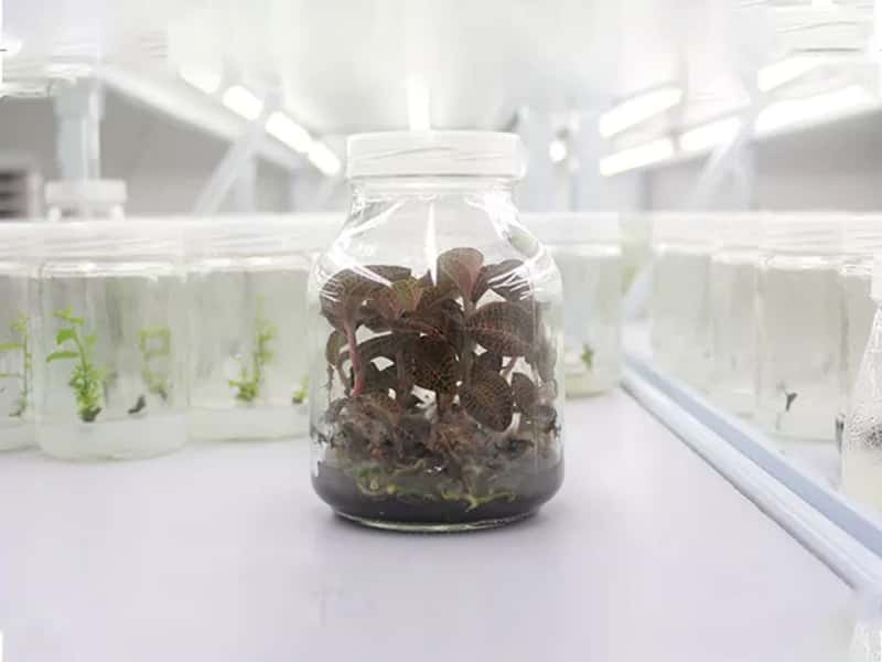 奶茶视频APP官网下载  奶茶视频APP官网下载瓶