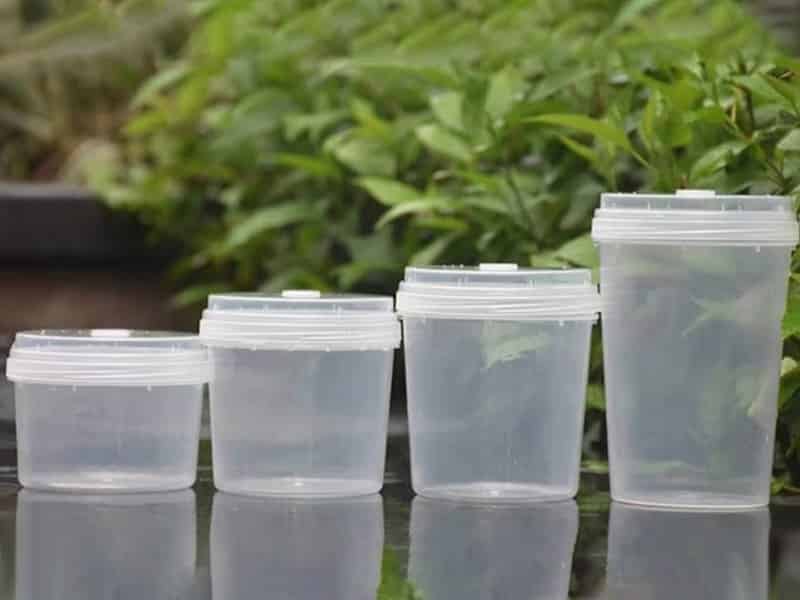 奶茶视频APP官网下载  奶茶视频APP官网下载瓶