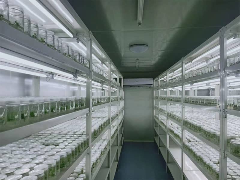 奶茶视频APP官网下载  奶茶视频APP官网下载設備  植物奶茶视频APP官网下载