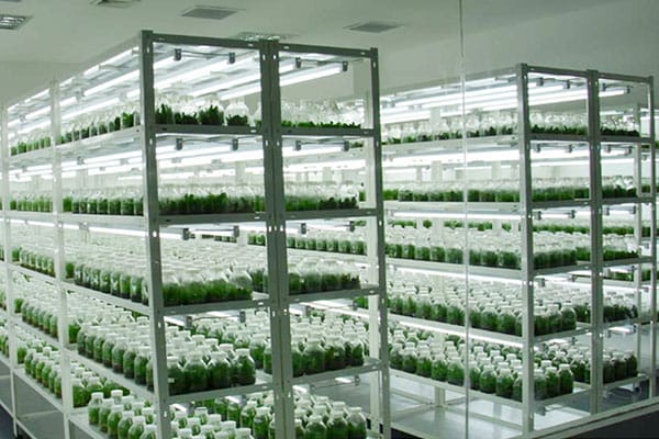 奶茶视频APP官网下载室淨化