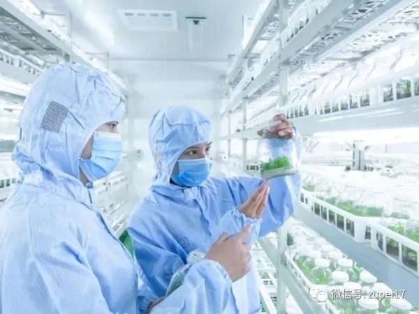 奶茶视频APP官网下载室建設
