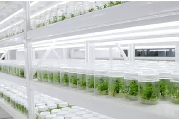 奶茶视频APP官网下载