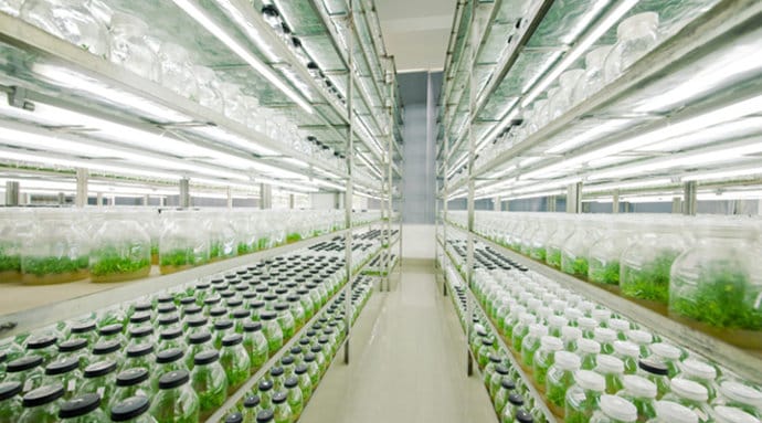 奶茶视频APP官网下载  奶茶视频APP官网下载架