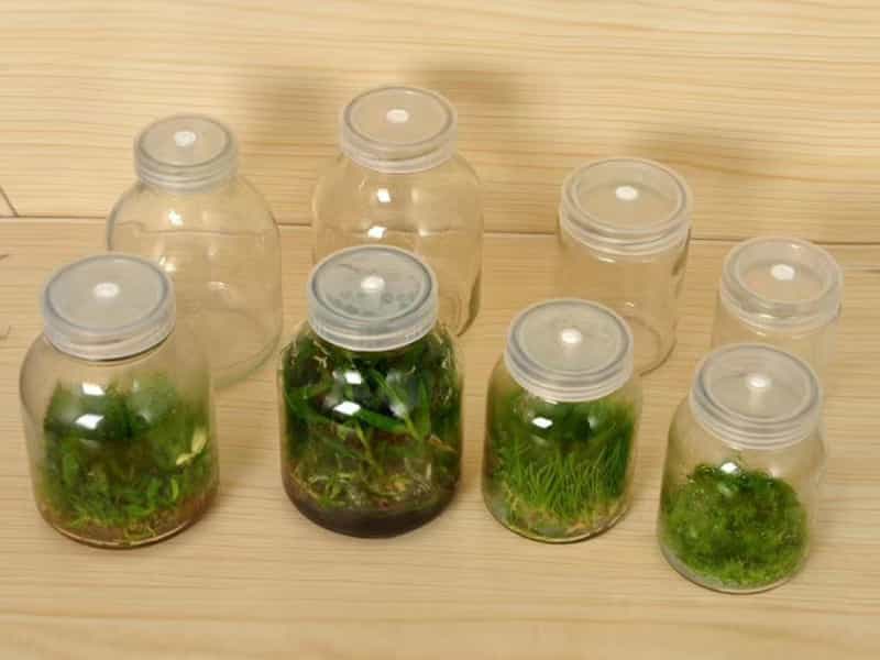 奶茶视频APP官网下载  奶茶视频APP官网下载瓶