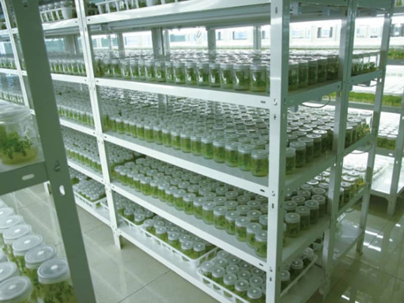 奶茶视频APP官网下载  奶茶视频APP官网下载設備