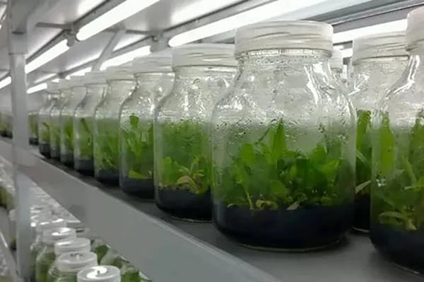 奶茶视频APP官网下载設備