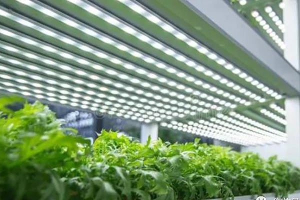 奶茶视频APP官网下载室建設