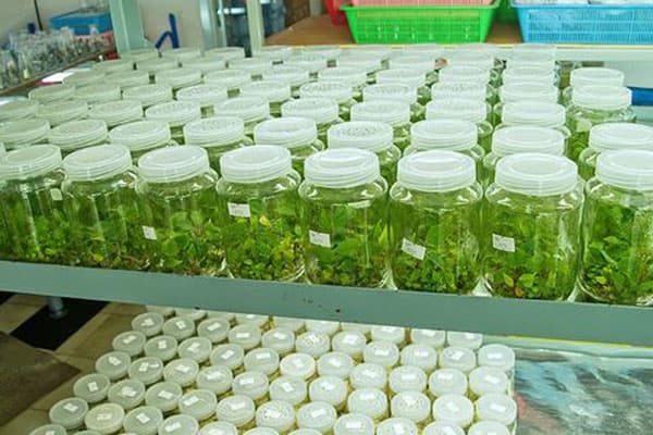 奶茶视频APP官网下载