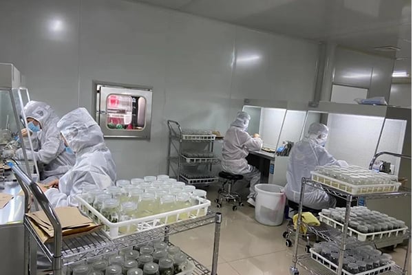 奶茶视频APP官网下载